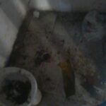 Condiciones de detención