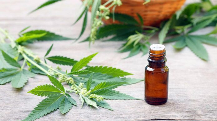 Cannabis medicinal