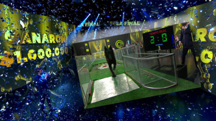 Tom, el Perro del Millón