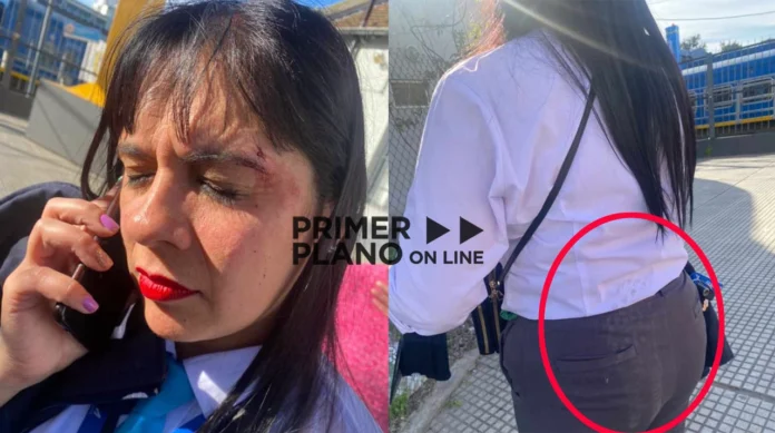 Golpearon a una guarda en el tren San Martín