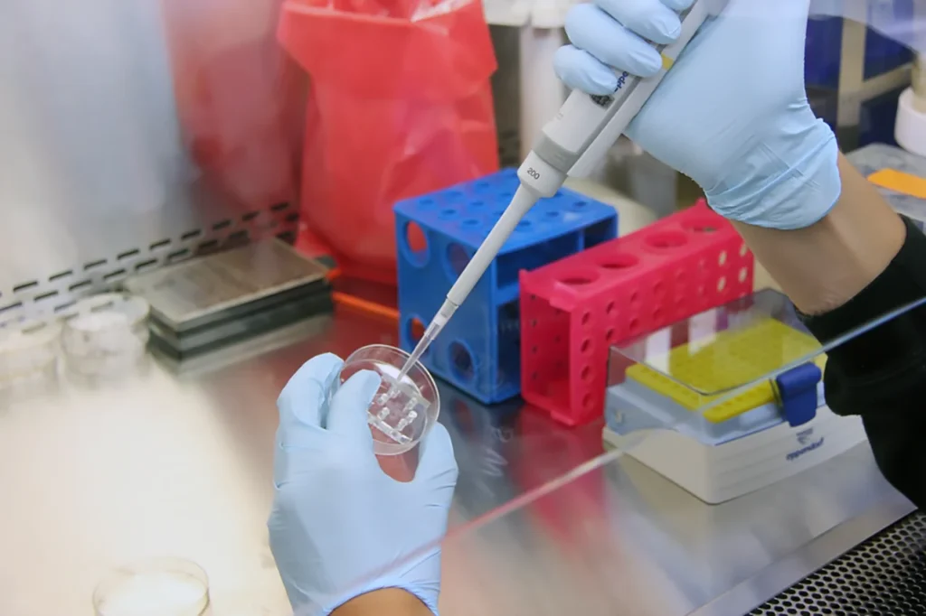 Día Mundial de la Investigación en Cáncer