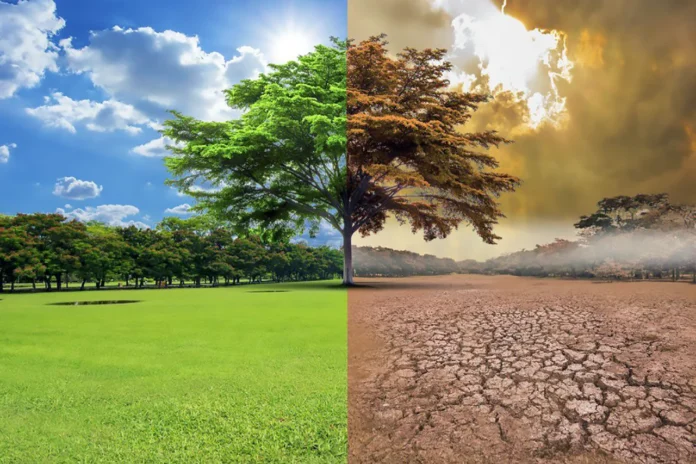 Tecnicatura en Energías Renovables