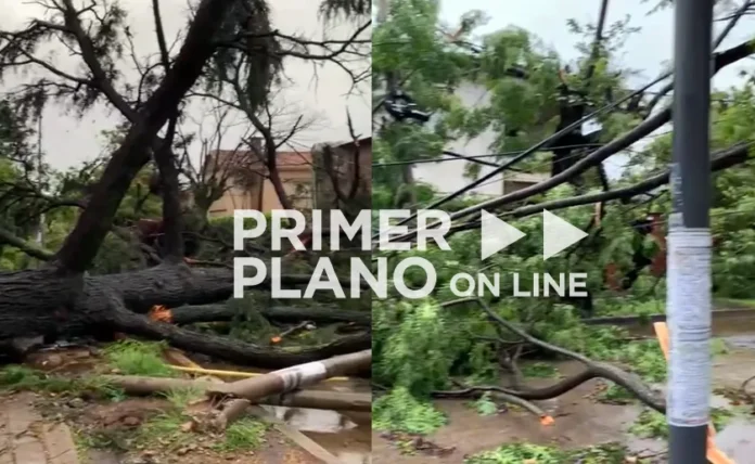 Temporal en Hurlingham