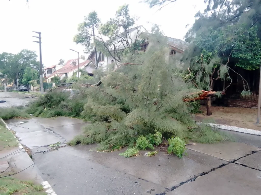 Temporal trágico