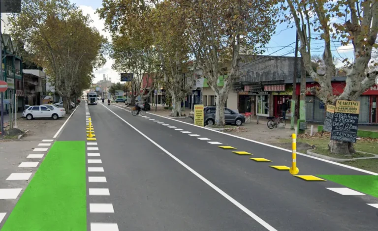 Bicisendas sobre avenida Vergara