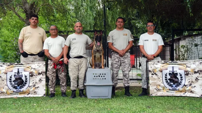 Perros detectores de drogas en cárceles