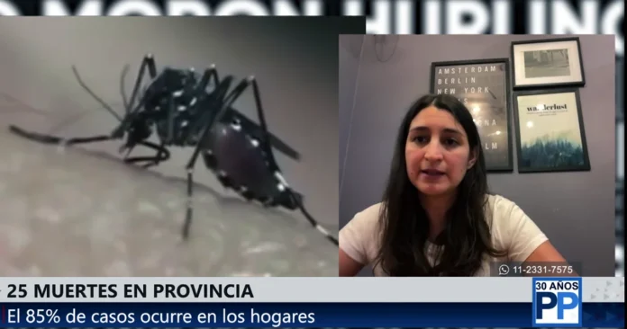 Contagios de dengue en la provincia de Buenos Aires