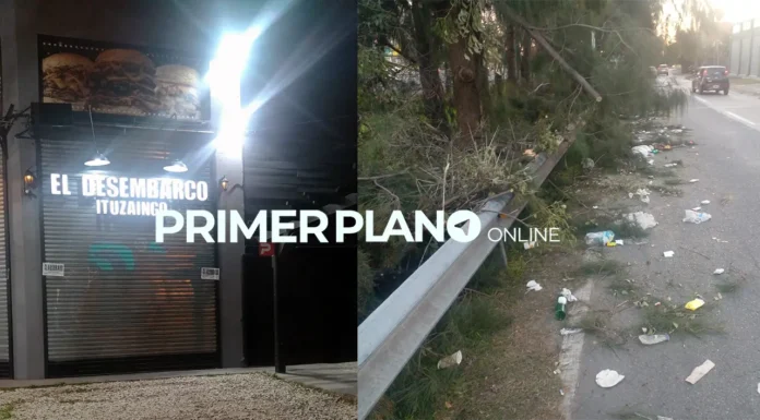 Tala de árboles en Ituzaingó