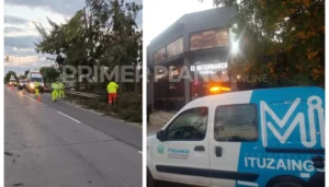Tala de árboles en Acceso Oeste