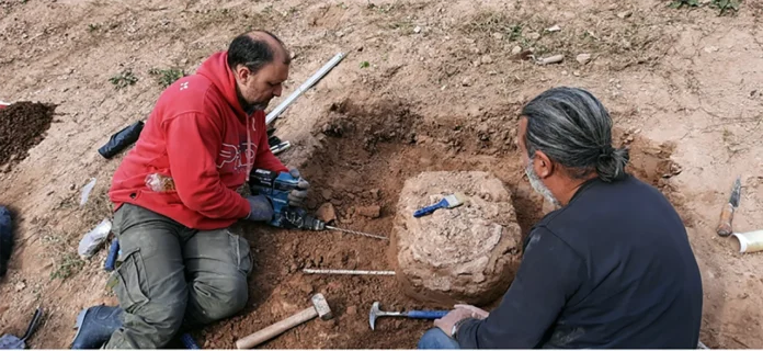 Restos óseos de gliptodonte en Merlo