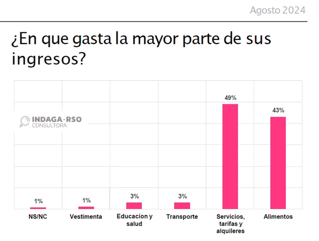 Relevamiento de Indaga sobre la situación social