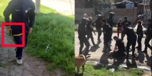 Pelea a tiros en Hurlingham