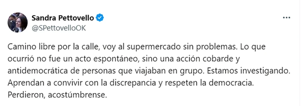 El mal momento de la ministra Sandra Pettovello