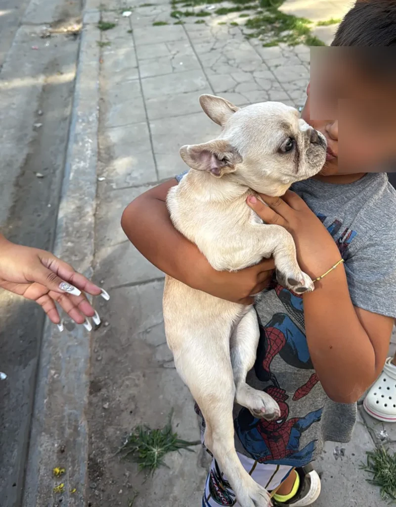 La triste muerte de Violeta
