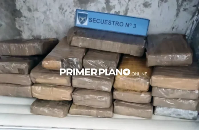 Desarticularon la banda de Dante