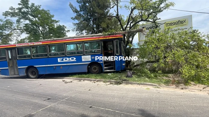 Colectivo chocó contra árbol y paredón en Hurlingham