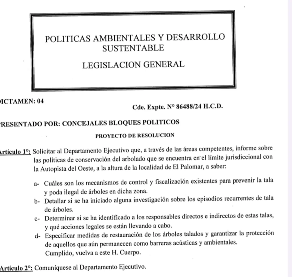 Tala de árboles en Acceso Oeste