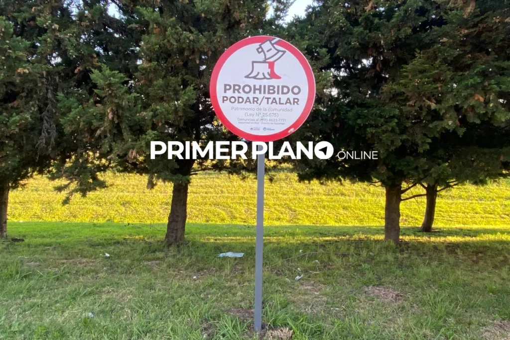 Tala de árboles en Acceso Oeste