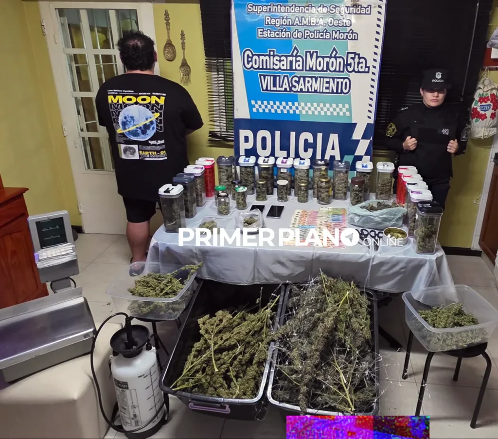 Plantación de marihuana en vivienda de Villa Sarmiento