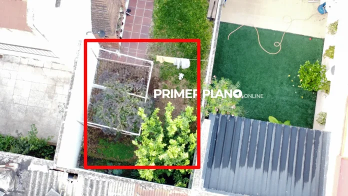 Plantación de marihuana en vivienda de Villa Sarmiento