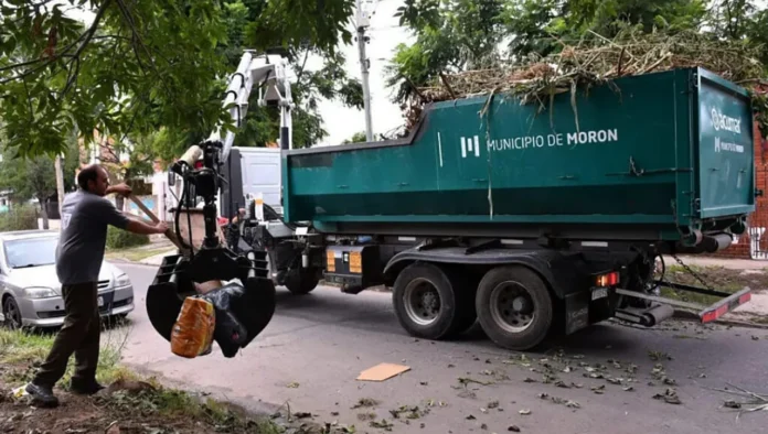 Recolección de desechos verdes y ramas en Morón