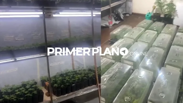 Indoor de drogas en La Matanza
