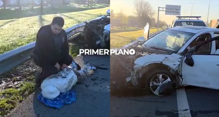Detenido tras entradera en El Palomar