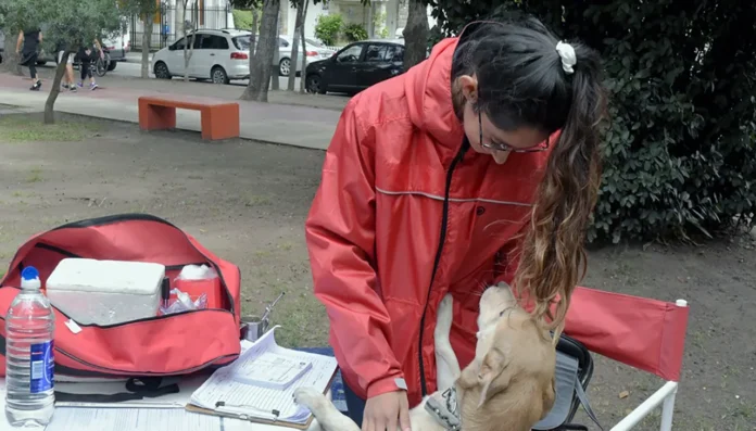 Día Mundial contra la Rabia en Morón