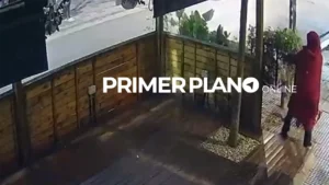 Vandalizan arbustos de comercios de Castelar