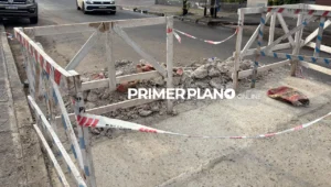 Bache tapado en Castelar