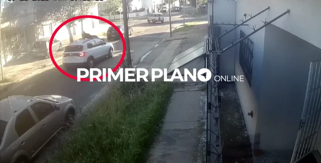 Llevado en el capot por Hurlingham