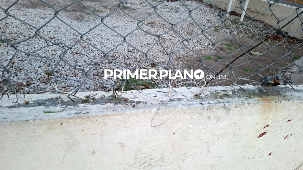 El rescate de un conejo en Hurlingham