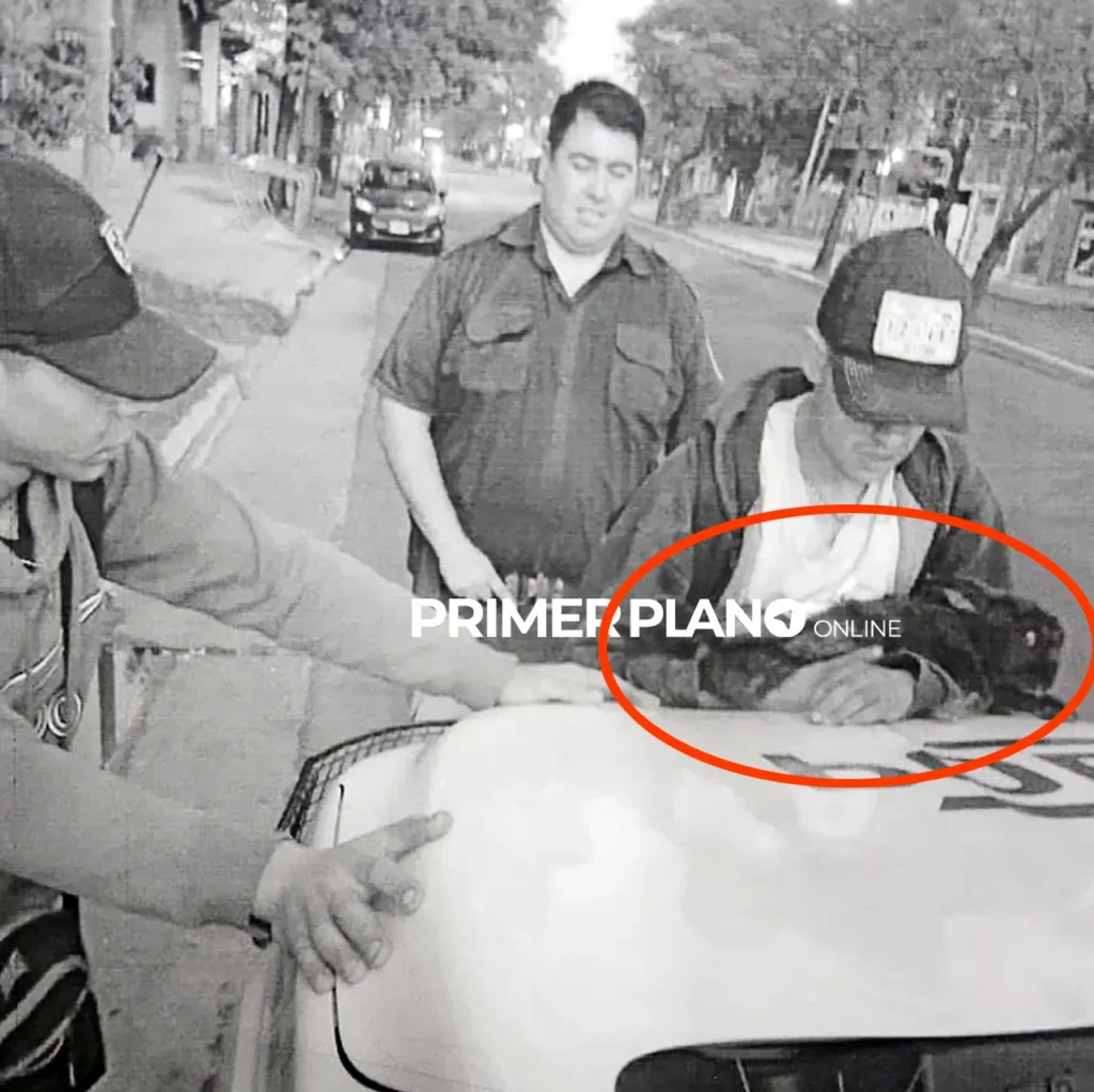 El rescate de un conejo en Hurlingham