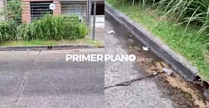 Edificio Charnot en Castelar