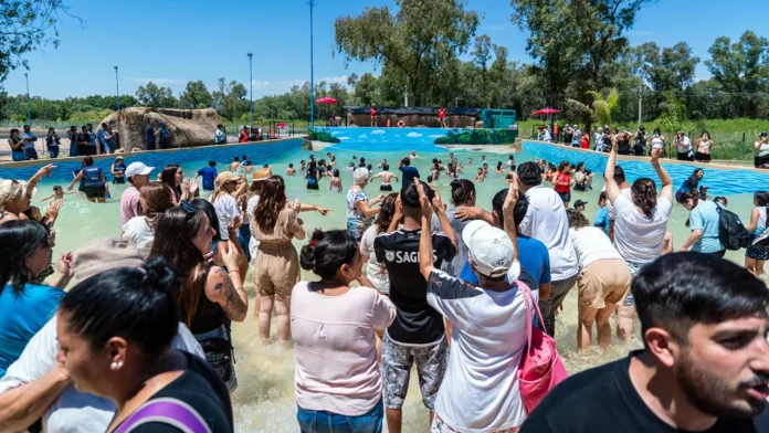 Obras en el Polideportivo Diego Maradona