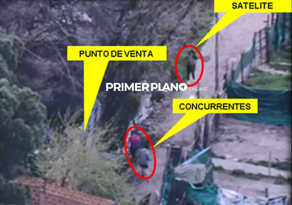 Secuestro de drogas en Moreno