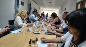 Paritaria provincial