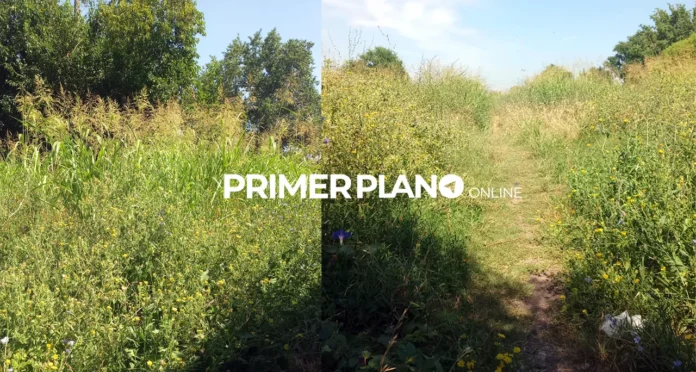 Reclaman el corte de pasto en Castelar sur