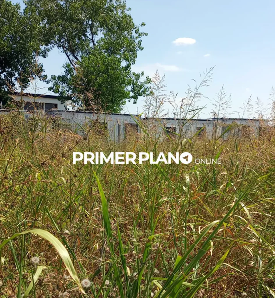 Reclaman el corte de pasto en Castelar sur