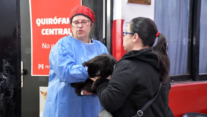 Zoonosis 2025 en Morón