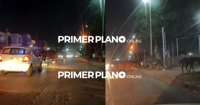 Caballos cruzando una avenida