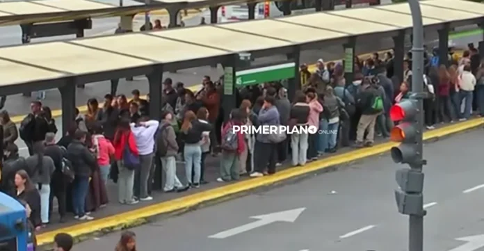 Racionalización de colectivos