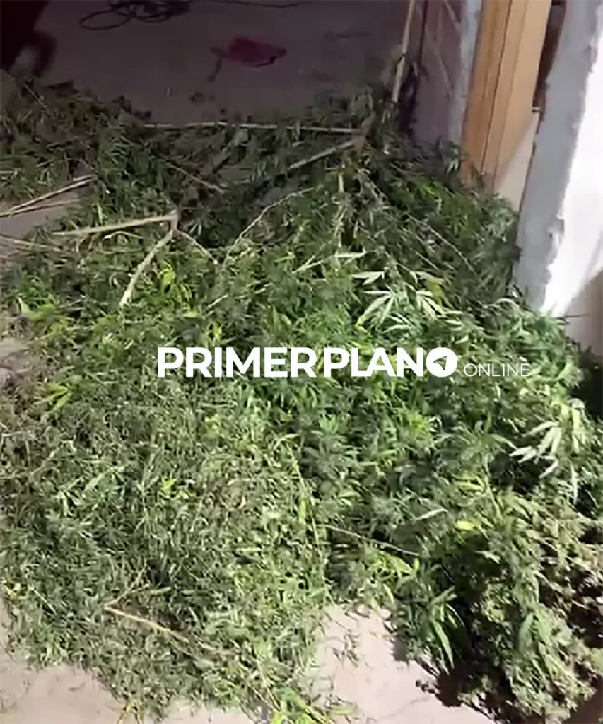 Secuestro de droga en Moreno