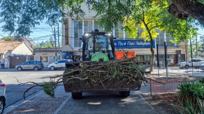 Poda y reforestación en Hurlingham