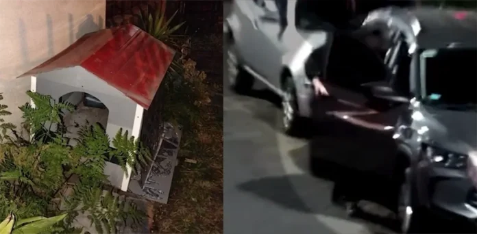 Se escondió en la cucha del perro