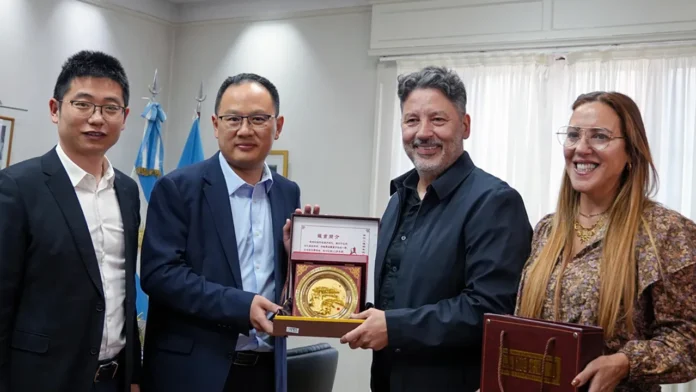 Inversiones chinas en Merlo