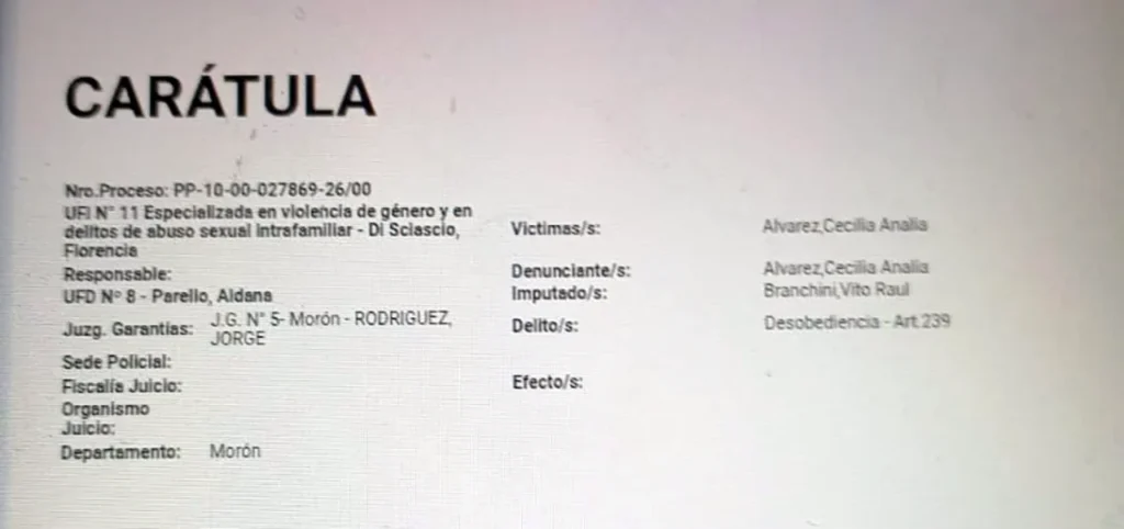 El desesperado pedido de una víctima de violencia de género