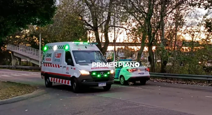 Hallazgo en Castelar norte