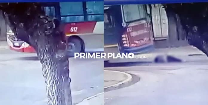 Colectivo atropelló a mujer en Merlo