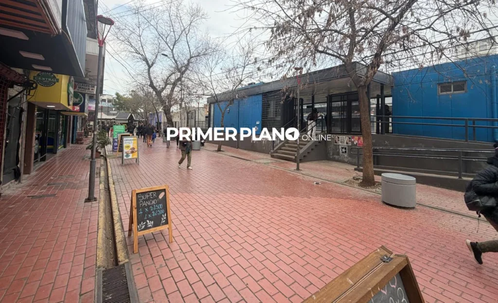 Proyecto Castelar 2046